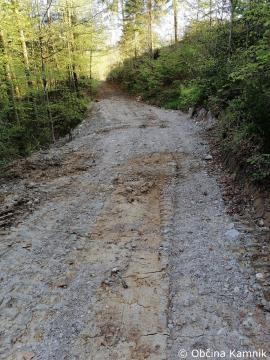 Sanacija usadov na gozdni poti v Mekinjah (2)